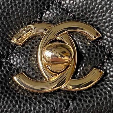 AS2215 13X19X9cm BL 2colour (12)